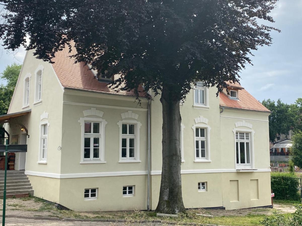 Willa W Centrum Zielona Góra Extérieur photo
